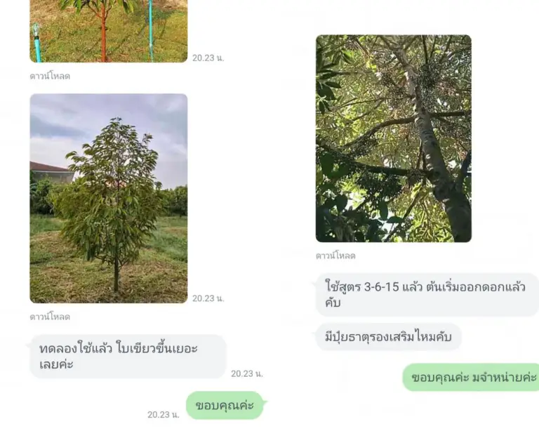 ปุ๋ยตราแมว 9 ชีวิต​