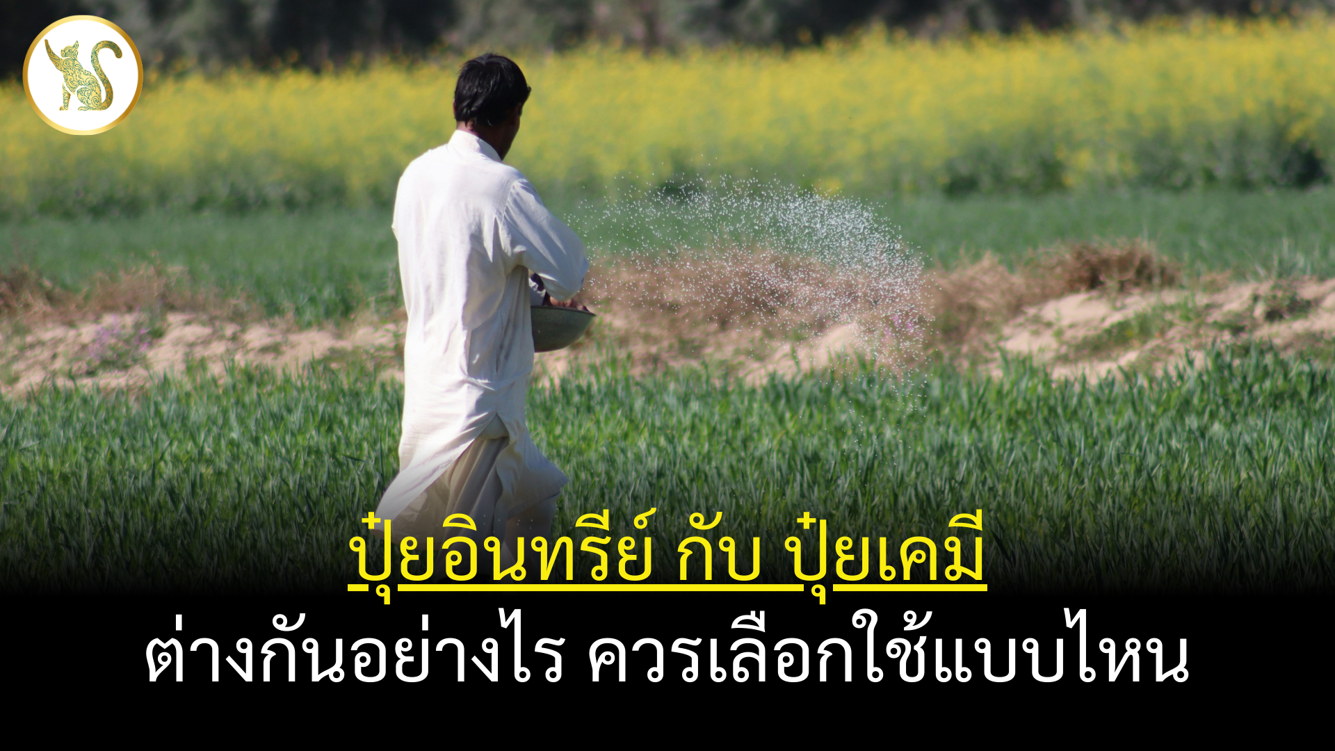 ปุ๋ยอินทรีย์ กับ ปุ๋ยเคมี ต่างกันอย่างไร? เปรียบเทียบข้อดี-ข้อเสียที่ควรรู้