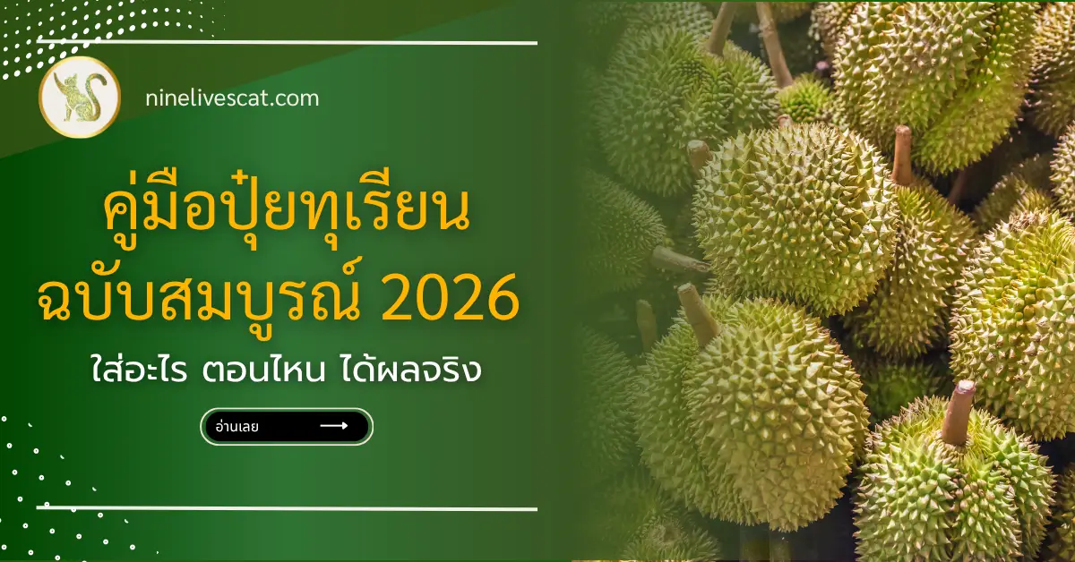 ปุ๋ยทุเรียน : คู่มือฉบับสมบูรณ์ 2026 ใส่อะไร ตอนไหน